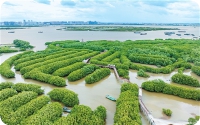微信图片_20250916101159_297_6.jpg