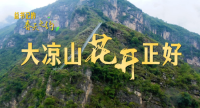 微信图片_20250228095720.png