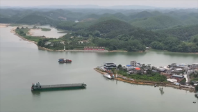 微信图片_20260605152239_1706_6.png