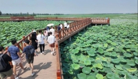 微信图片_20240620111210.jpg